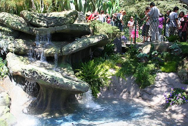 Disneyland Birthday 09 069