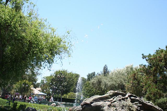 Disneyland Birthday 09 070