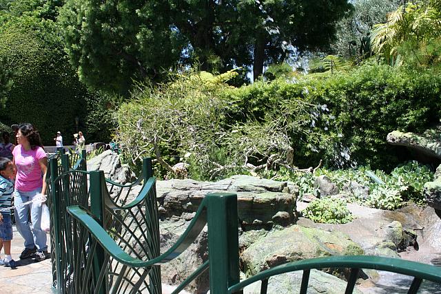 Disneyland Birthday 09 071