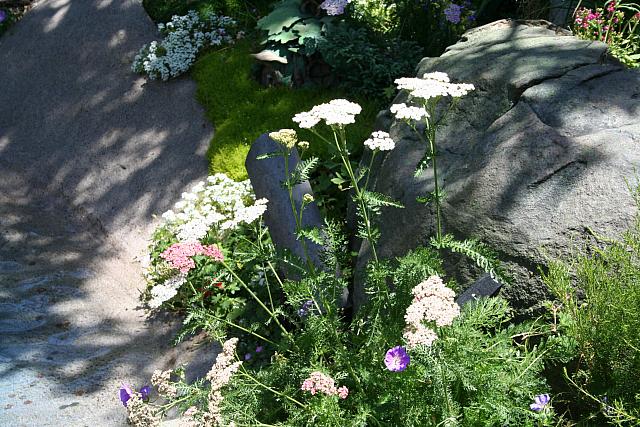 Disneyland Birthday 09 080