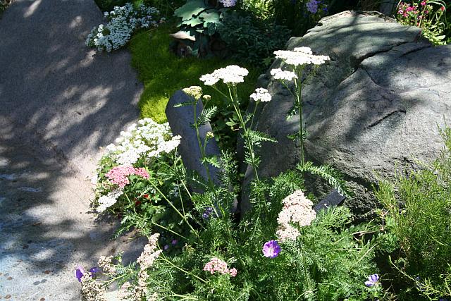 Disneyland Birthday 09 081