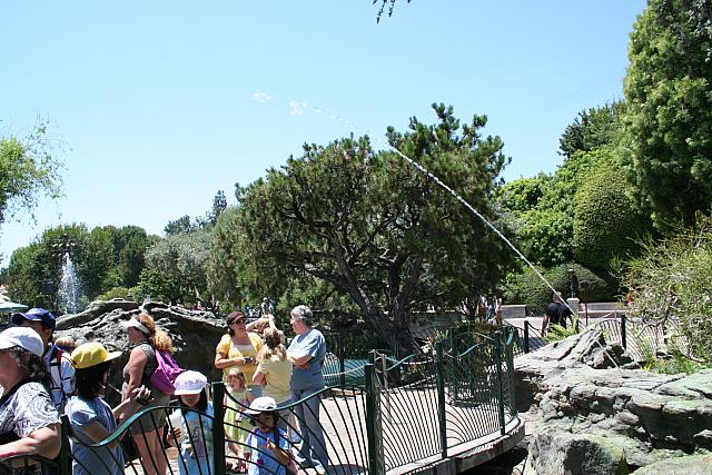 Disneyland Birthday 09 082