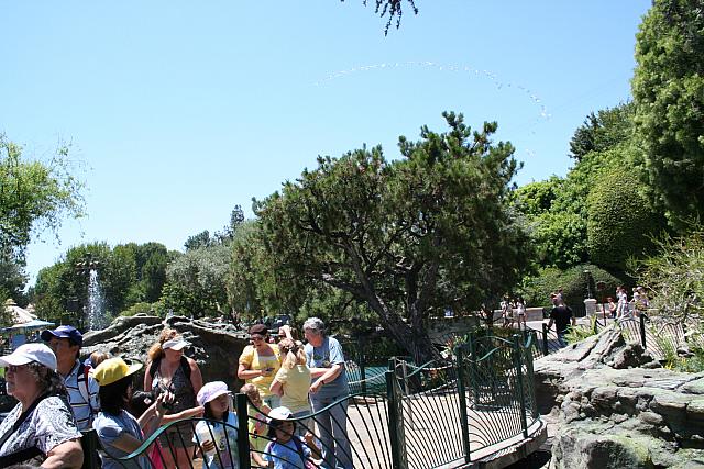 Disneyland Birthday 09 083