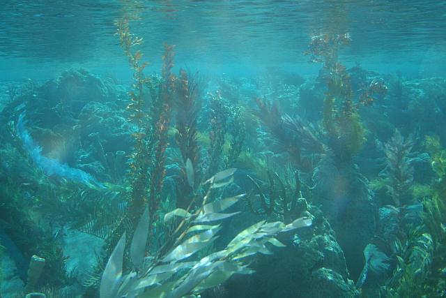 Disneyland Birthday 09 115