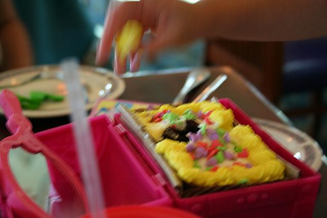 Disneyland Birthday 09 217