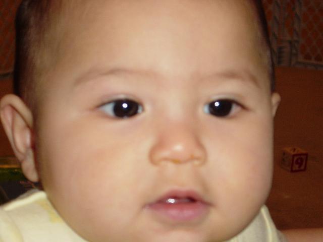 dsc02348