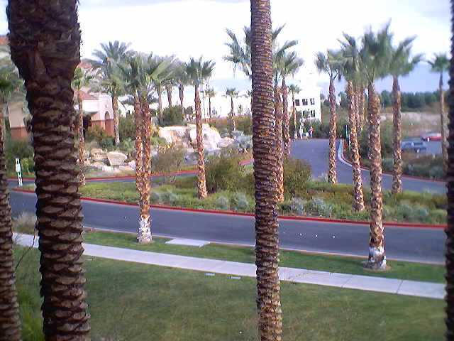 Vegas 022
